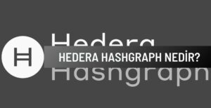 Hedera Hashgraph Nedir